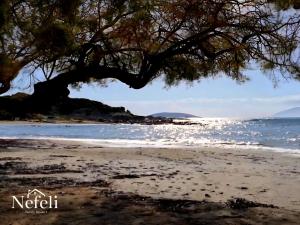 Nefeli Family House1' Modern Villa with Swimming Pool & Jacuzzi - 4hvězdičkové hotely ve městě Lagonisi