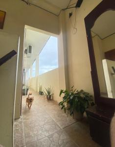 Habitaciones Guadalupe