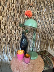 Tiny House - Surfers Paradise