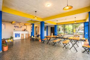 Shalom Backpackers Dharamkot McLeodganj