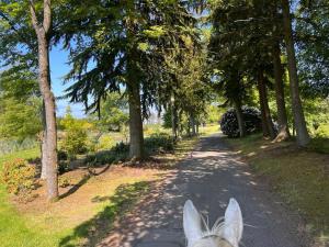 The Doocot - A Beautiful Countryside Cottage