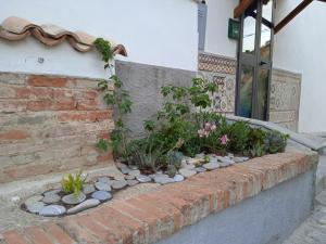 Vico Poerio 1