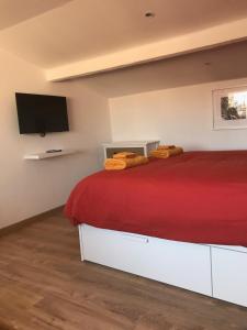 Charmant Studio Atypique climatisé