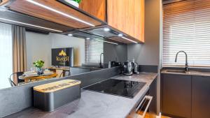 Apartament Loft- IzerSKI Resort