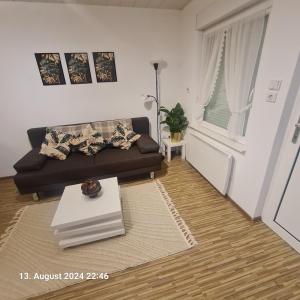 Comfortable Apartment