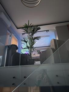 APARTAMENT LUX Bulwary Chrobrego Gniezno