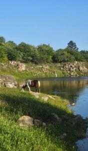 La Bonita, casa en alquiler frente al lago