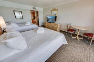 Amazing Views, Coastal Paradise Experience!