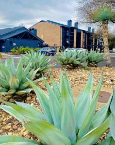 Muelller Flats 1613 I Spacious 1 Bed 1 Bath