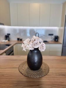 Thetis luxury apartment