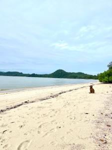 BMB Boun Marvin Bungalows