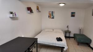 Petit Appartement Avignon Intra-muros