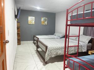 Isabella Hostel and Pool