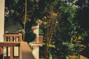 Villa with pool in nature