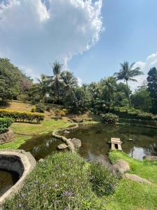 Villa with pool in nature
