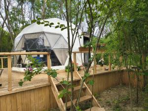 Coco Glamping & Retreat