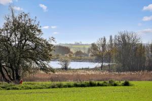 AE311-Aeroskobing-Hanses-Ager-11