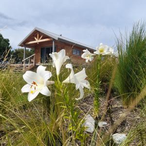 Āporo bach - a country retreat