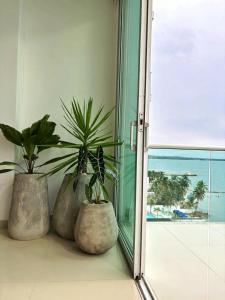 Apartamento con vistas al Mar caribe