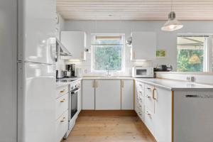 TV1495-Bindslev-Doravej-3