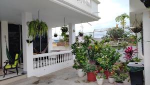 Caracola, habitación privada de Flor de Lis Beach House
