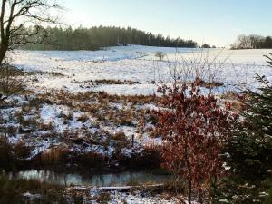 Tranquil Riverside Retreat