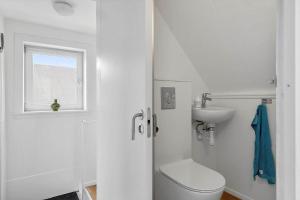 TV1653-Albaek-Skagensvej-64