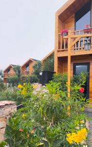 أكواخ الصنوبر