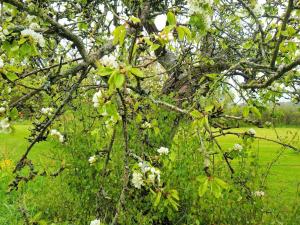 8 person holiday home in HOVA