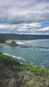 La casa pajarito, tu refugio en Curiñanco