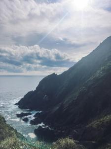 CABAÑAS Casa de Pajaritos, tu refugio en Curiñanco