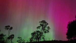 Mount Rumney Escapes Seaview House 2 - Eagle House