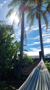 Backpackers Newcastle