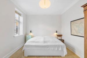 AE208-Aeroskobing-Brogade-4