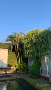 3br Villa Beach Canggu Berawa & Dormitory room Kost Padonan agency Nanny baby sitting