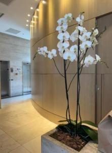 Hotel Alvorada - Conforto e Lazer - Melhor Localização