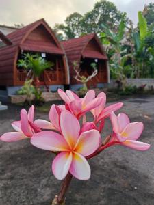 Kawandini Homestay