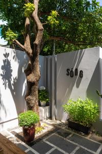 Tranquil Garden house I 2 Bike to My Khe Beach I Sóng homestay 3