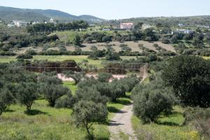 Studio Apartment room in Contaratos Holiday Lettings