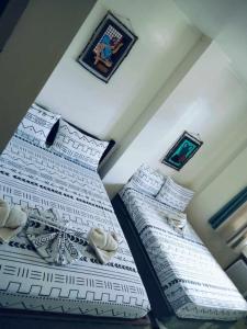 ELNIDO BUDGET INN SILVERISE Pension