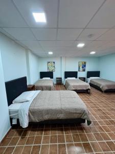 INARA - Cafe & Hostel