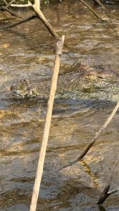 Redstone Cottage Gal Oya