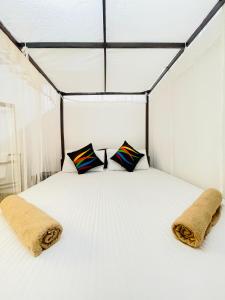 Fish Tail Villa
