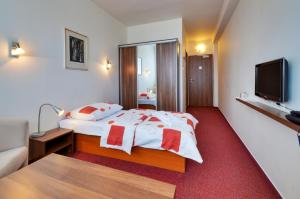 Single Room room in Hotel Klar