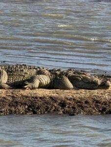 Redstone Cottage Gal Oya