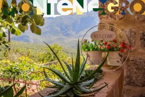 Ethno House Ivanovic