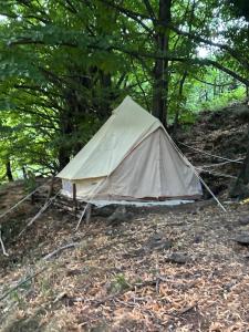 Tipi Nature a lOmbre des Tilleuls à Vialas en Cévennes