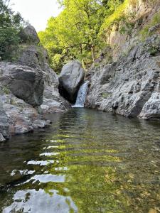 Tipi Nature a lOmbre des Tilleuls à Vialas en Cévennes