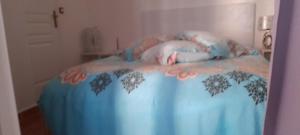 NICE CHAMBRE EXCLUSIVE DANS 2 PIECES 40 m2 ATYPIQUE ORIGINAL DANS GRANDE STRUCTURE TYPE APPARTEMENT DHOTE 80 m2 200 m mer PROMENADE DES ANGLAIS SEJOUR CHEZ LHABITANT