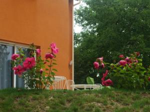 La Colline des Endrevies